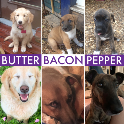 E48BBBF3-3E28-42C4-8295-1852F0438BCC